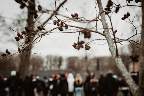 Jedes Jahr gedenken die Schüler*innen und die Lebenshilfe Kreis Viersen e.V. den Opfern des Nationalsozalismus