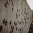 Alle 500 Namen der Euthansie-Opfer sind auf kleinen runden Tafeln an einer Wand befestigt.
